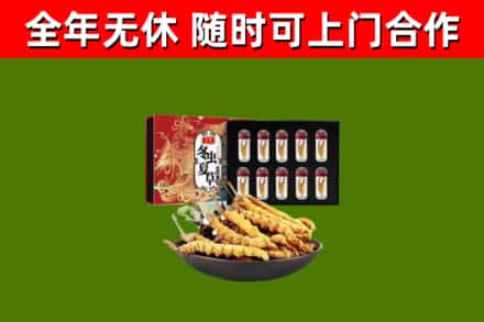 水城区烟酒回收冬虫夏草礼盒.jpg